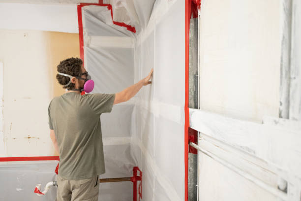  Dianapolis, IN Mold Removal Pros