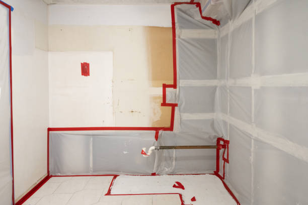 Best Indoor Air Quality Assessment  in Dianapolis, IN