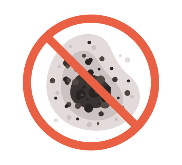 Best HVAC Mold Inspection and Cleaning  in Dianapolis, IN
