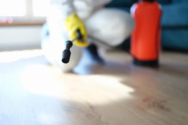 Best Emergency Mold Remediation  in Dianapolis, IN
