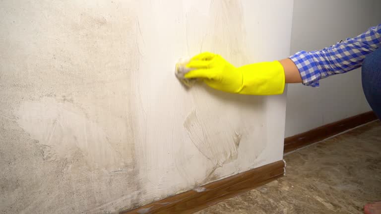 Best Post-Remediation Verification Testing  in Dianapolis, IN