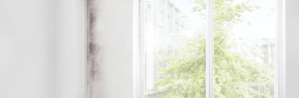 Mold Remediation for Rental Properties in Indianapolis, IN