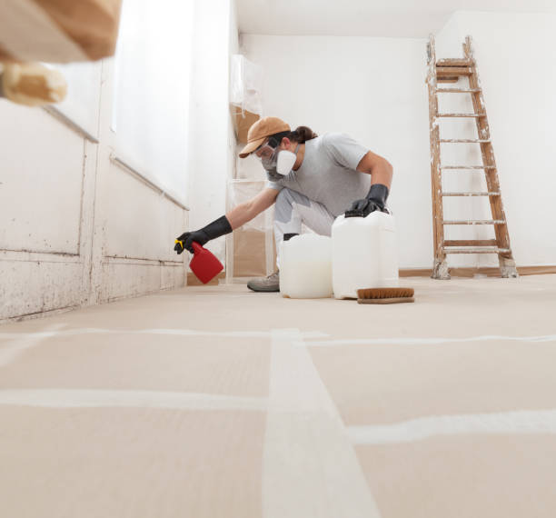 Best Air Quality Testing for Mold Spores  in Dianapolis, IN