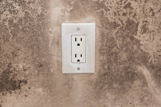 Best Mold Odor Removal Services  in Dianapolis, IN